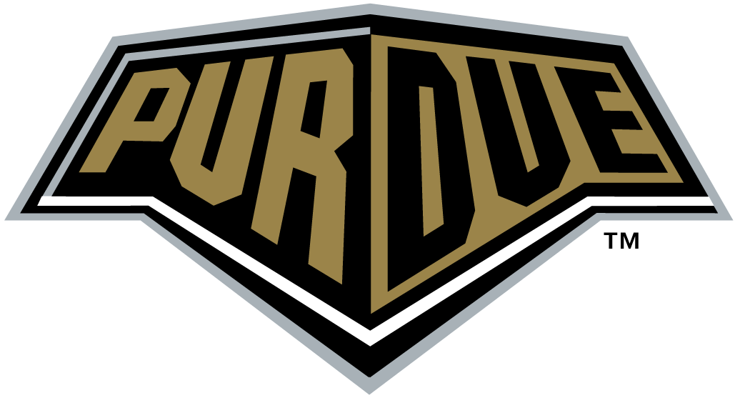 Purdue Boilermakers 1996-2011 Wordmark Logo v5 DIY iron on transfer (heat transfer)